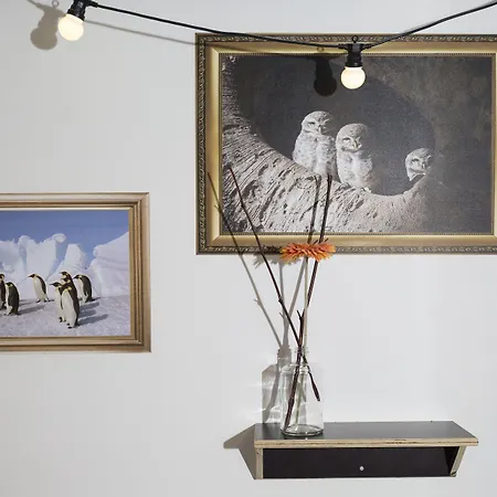 Vandrerhjem Will & Tate Haag