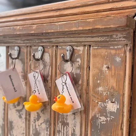 Will & Tate Auberge de jeunesse