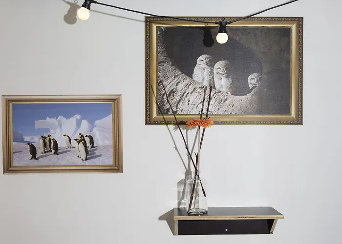 Hostel Will & Tate Haga